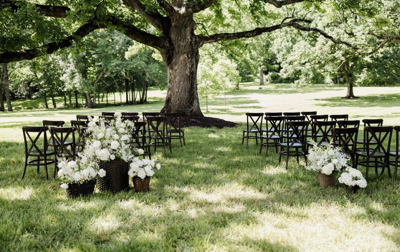 Ceremony chairs set under a large oak tree, the aisle lined with white flower arrangements